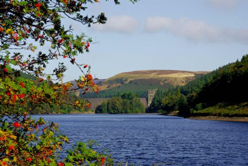 Towards Howden towers