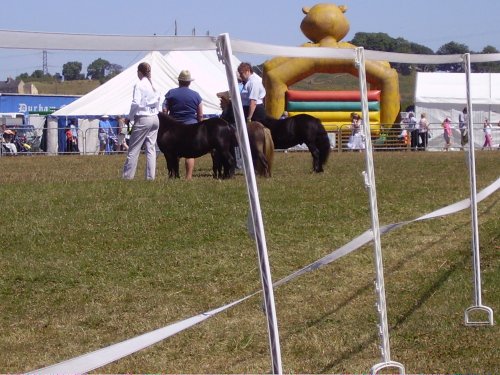 Durham County Show 2006