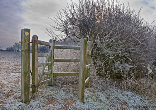 The Pat Jones gate on the Leland Trail