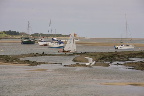 The Estuary