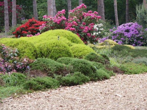 RHS Garden Wisley