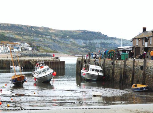 Boats in the Harbour