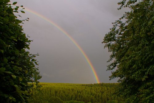 After a thunderstorm