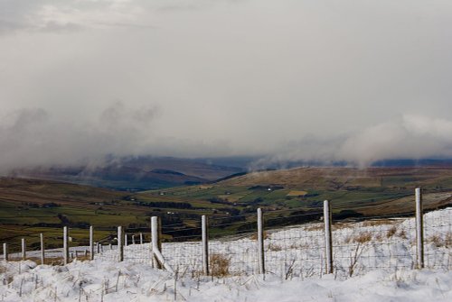 Snowline