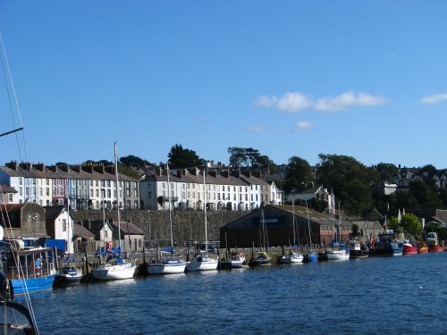 The Harbour