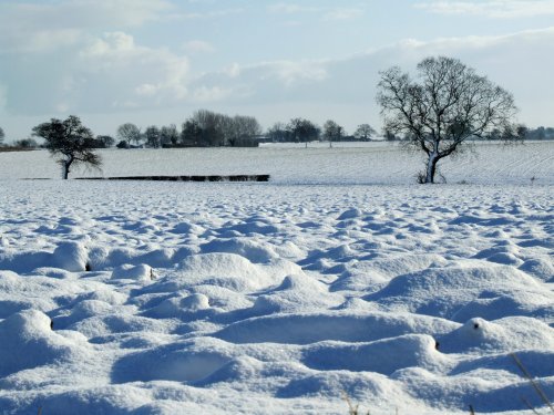 Snowy field