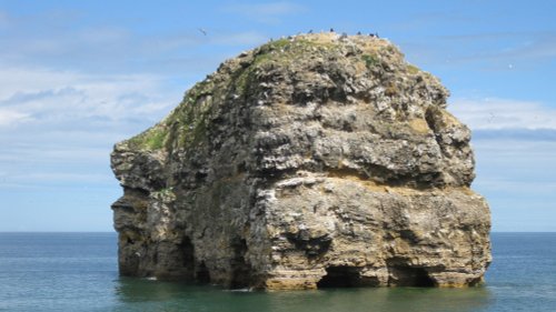 Marsden Rock, Marsden