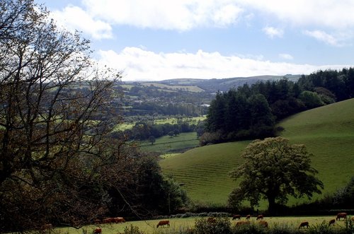 Restormel Castle