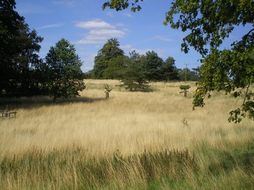 Ickworth House