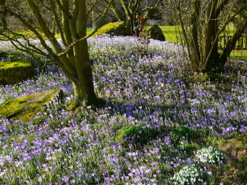 Leicester University Botanic Gardens