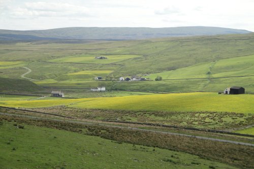 Teesdale