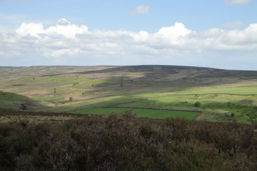 Pictures of Flatts Lane Woodland Country Park