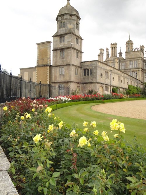 Rose border at Burghley