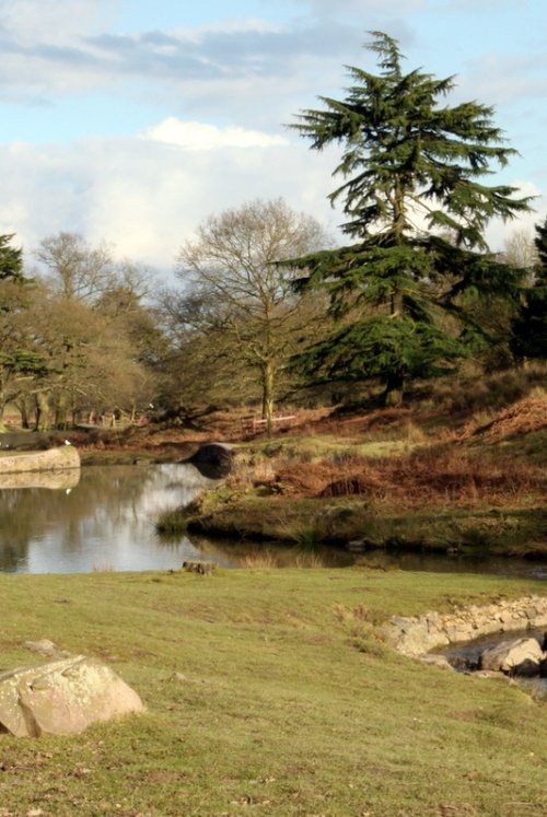 Bradgate Park