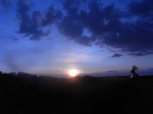 August sunset over the Forest