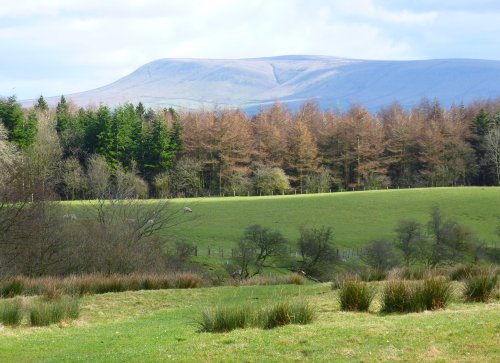 Pendle Hill