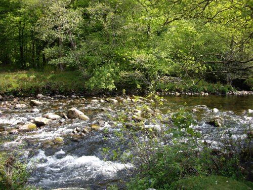 Spitchwick, Dartmoor.