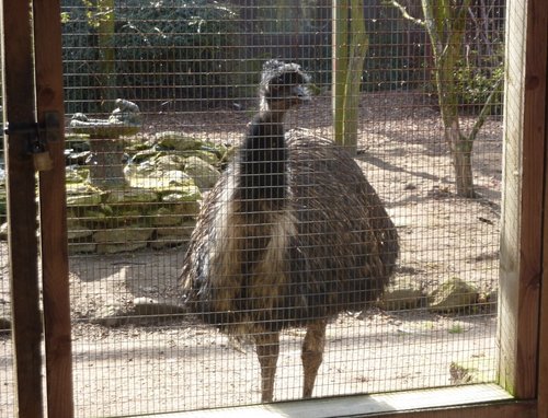 Mablethorpe Animal Gardens