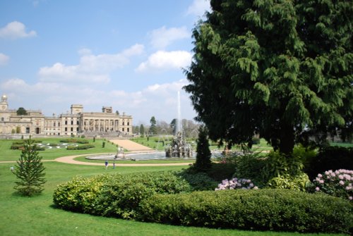 Spring at Witley