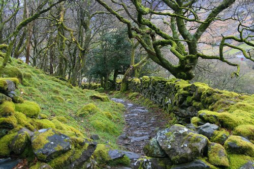 Path to the Roman Steps