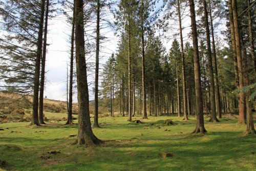 Dartmoor