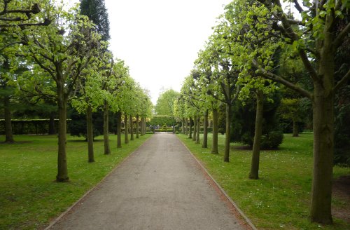 The Grounds