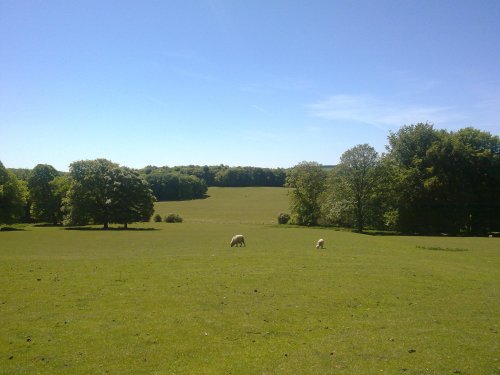 Hinton Ampner