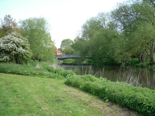 Bridge on Reading Road