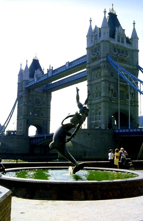 Bridge, Dolphin and Boy.