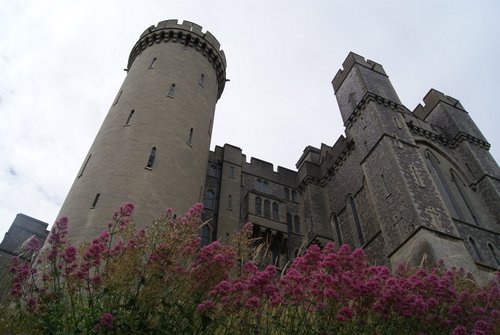 Castle in bloom