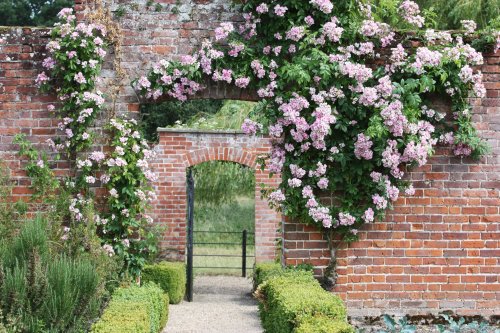 Redisham Hall Gardens