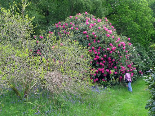 Charborough Estate.