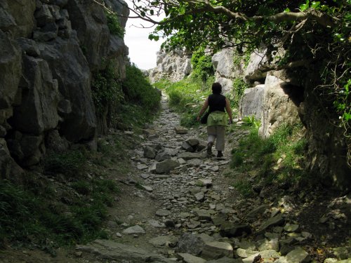 Tout quarry at Portland