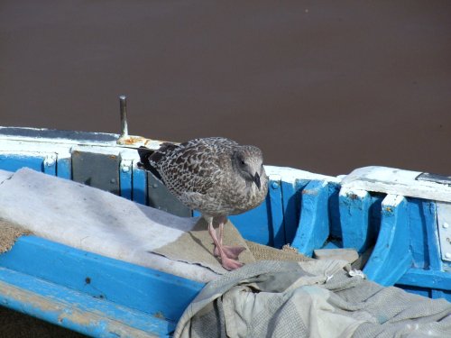 Whitby