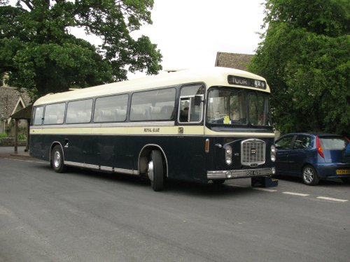 Royal Blue Coach