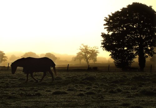 Cotswold sunrise