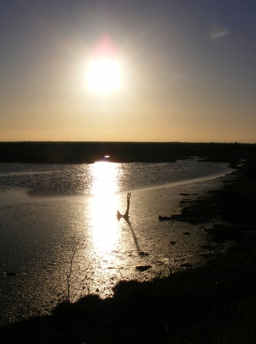 Sunrise at low tide