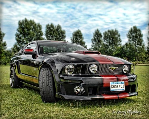 Mustang