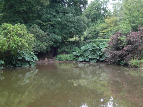 Cockington Court & Country Park