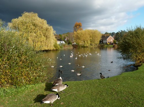 West End Village Pond (the other end)