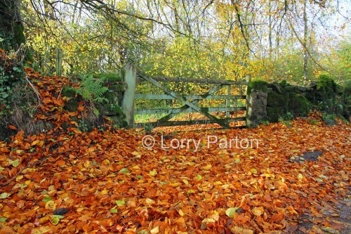 Dartmoor