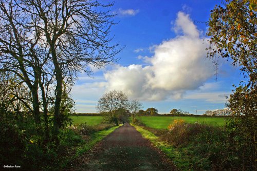 A circular walk from Shillingstone to Hanford.