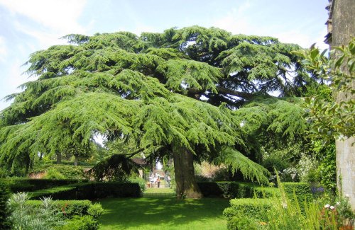 Hidcote Manor Garden