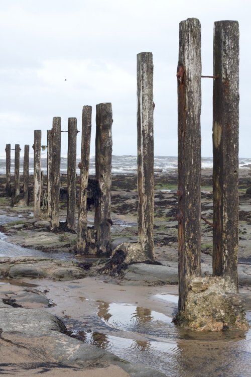 Whitley bay