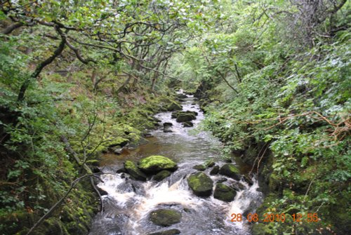 Ingelton Waterfall, Yorkshire