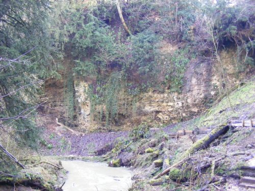 Castle Eden Dene NNR