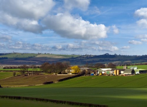 Farm in the Spring sunshine