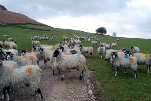 Yorkshire Dales National Park