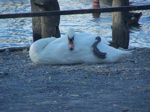 Lake Windermere