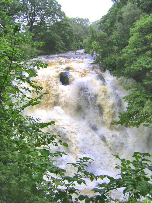 Swallow Falls